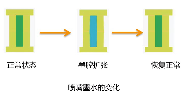 一篇看懂什么是RIP软件、板卡、波形